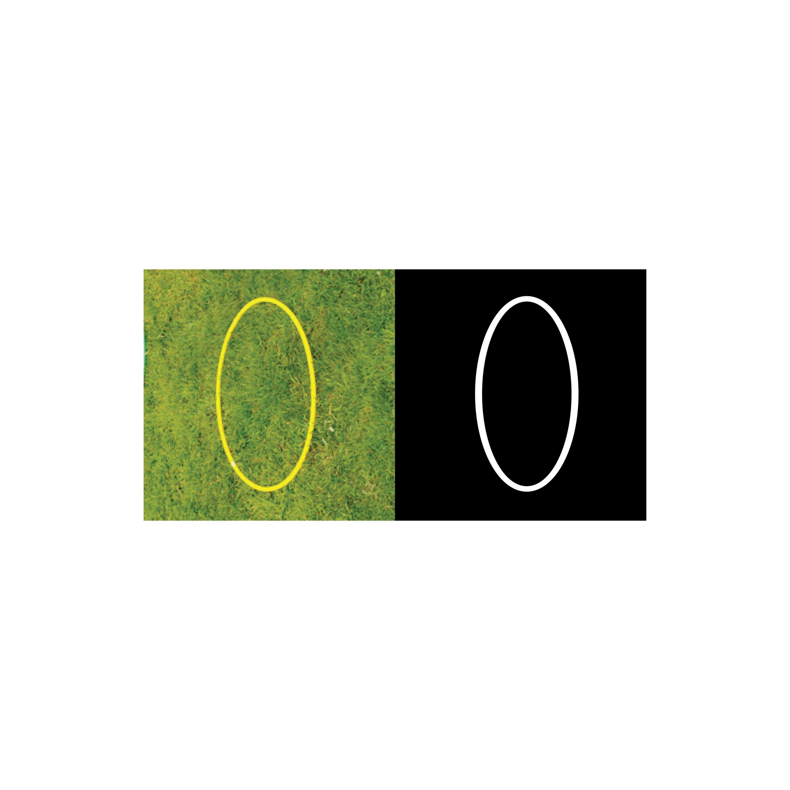 A-Comparison-of-Form-Sign-Solution-1-Christensen-Clara